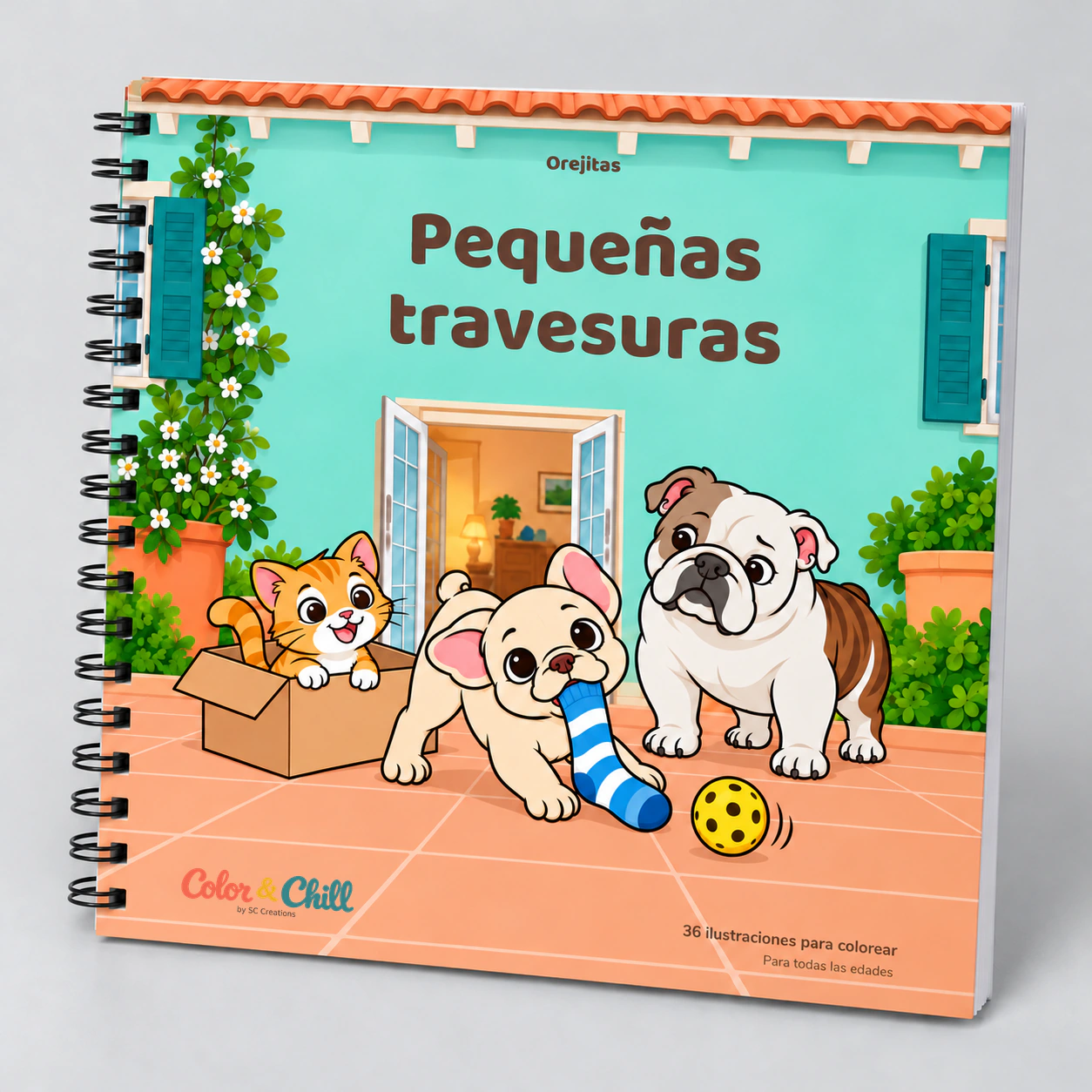Libro Pequeñas travesuras