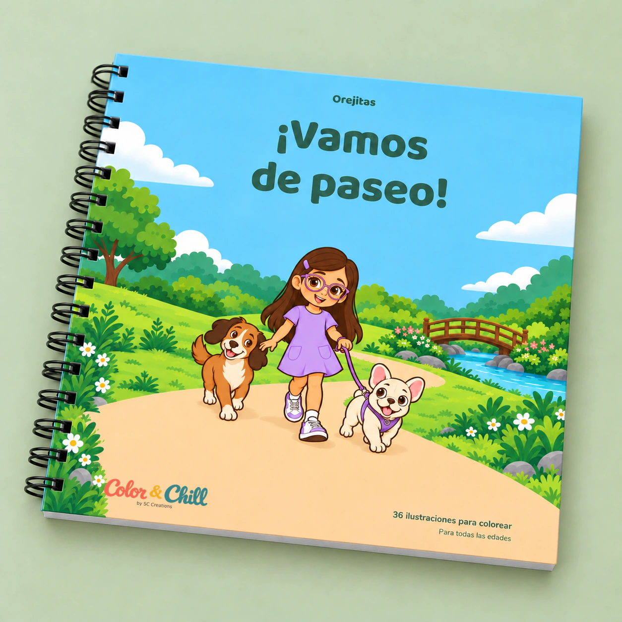 Libro ¡Vamos de paseo!