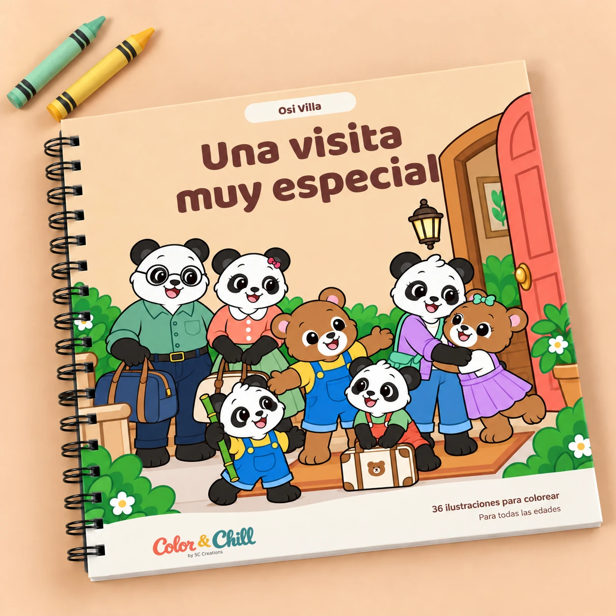 Libro Una visita muy especial